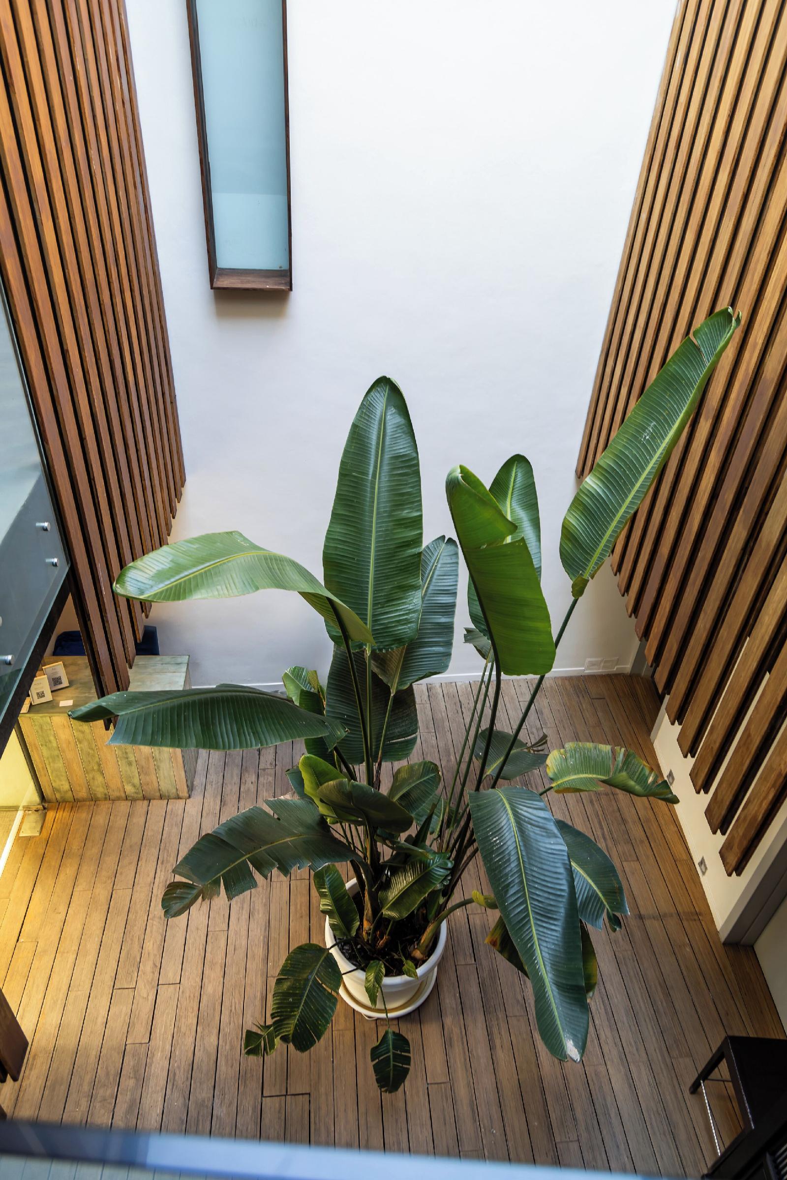 Hotel Aristoy