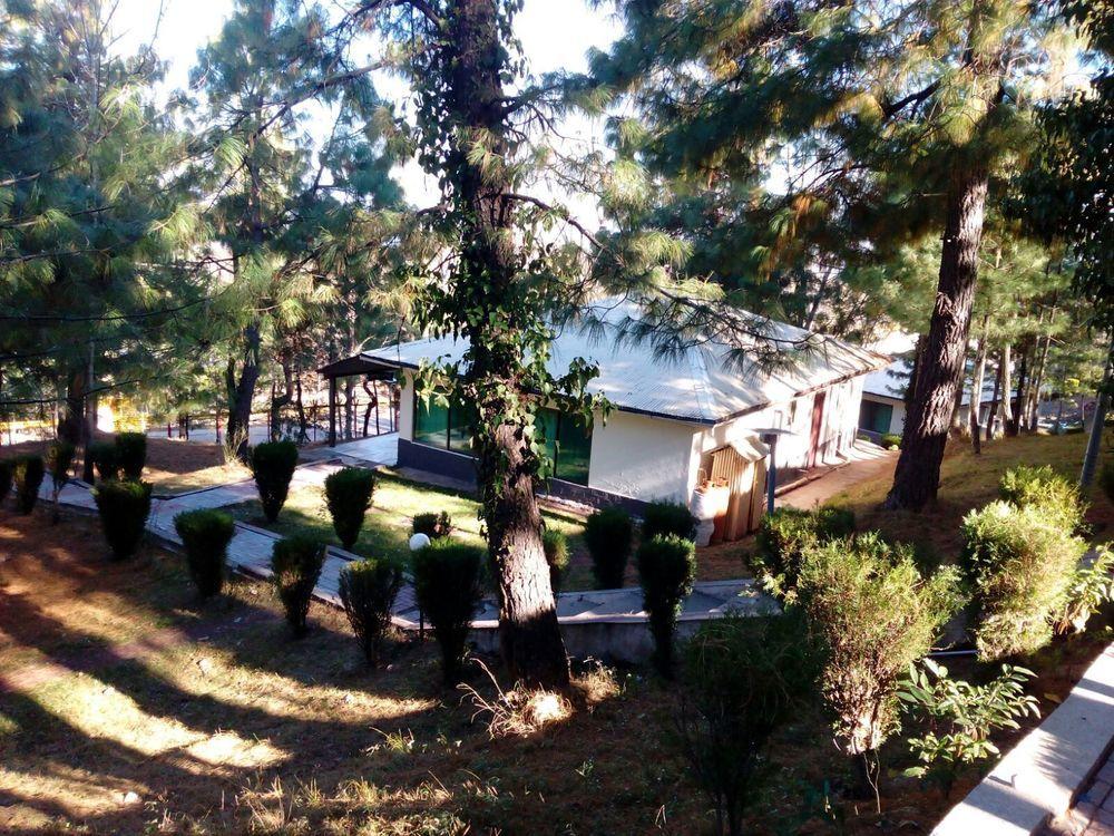 Chinar Family Resort
