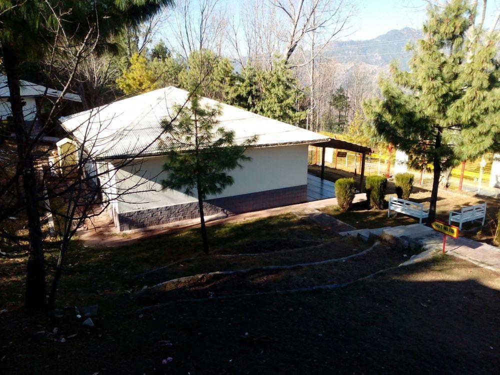 Chinar Family Resort