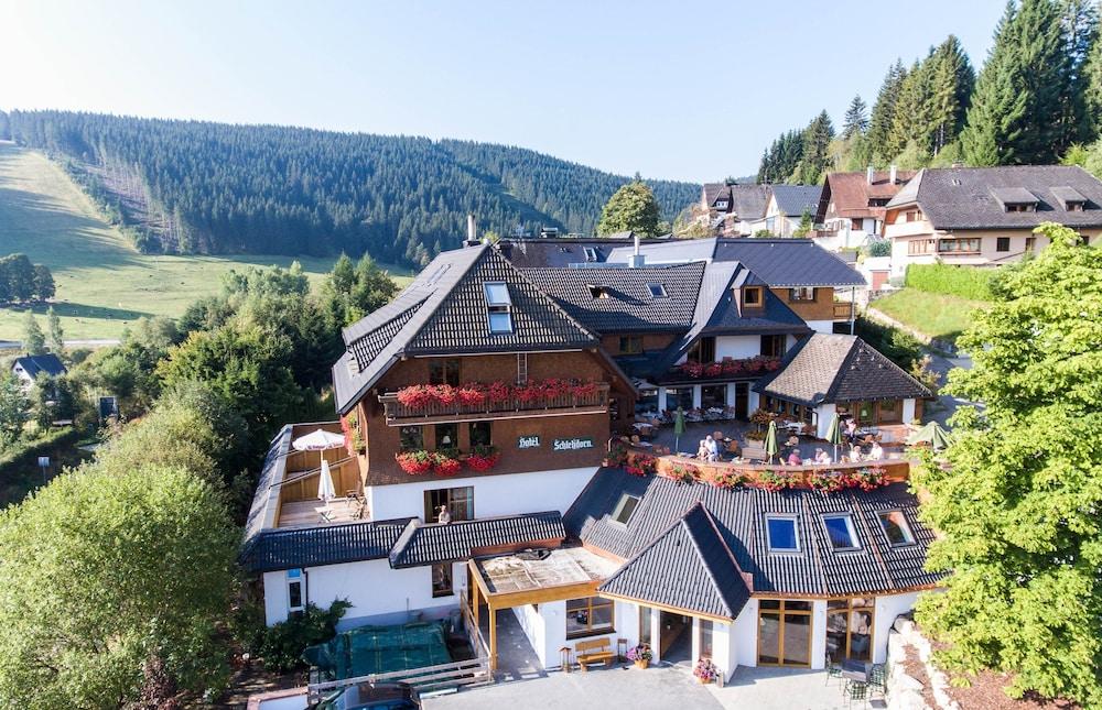 Schlehdorn