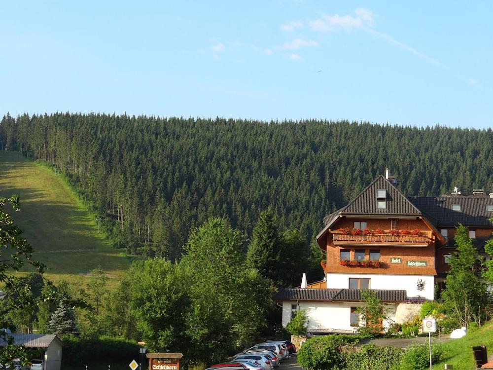Schlehdorn