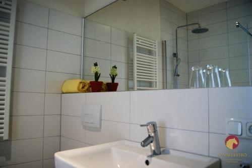 Hotel Cavallestro