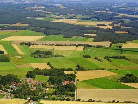 CAREA Ferien- & Reitsport-Hotel Brunnenhof