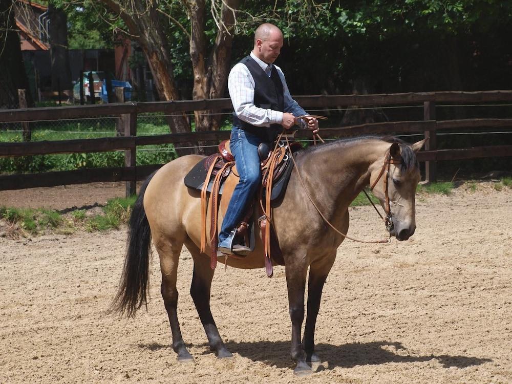 CAREA Ferien- & Reitsport-Hotel Brunnenhof