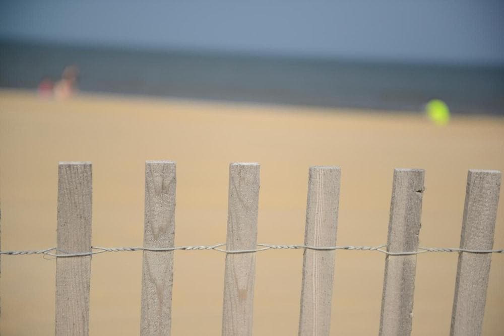 The Beach House