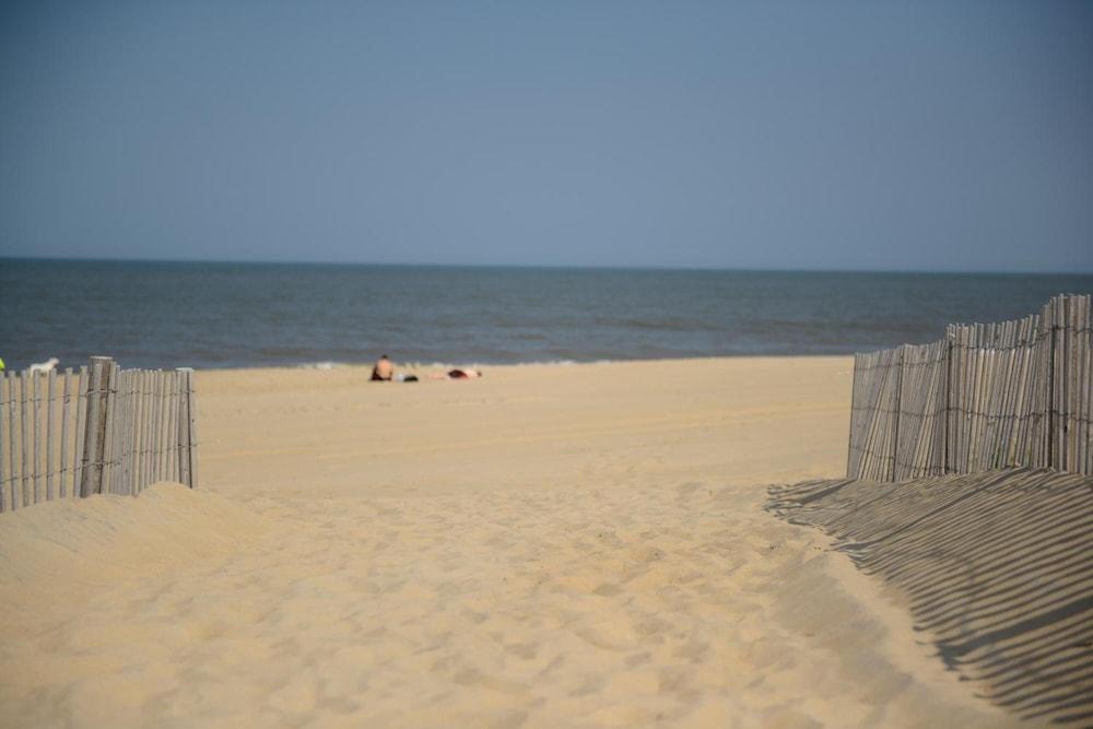 The Beach House