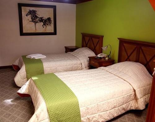 Hotel Boutique Palma Real Eco-Suites