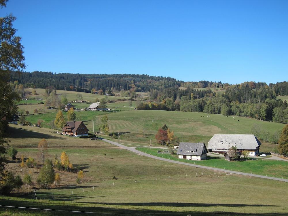 Bären