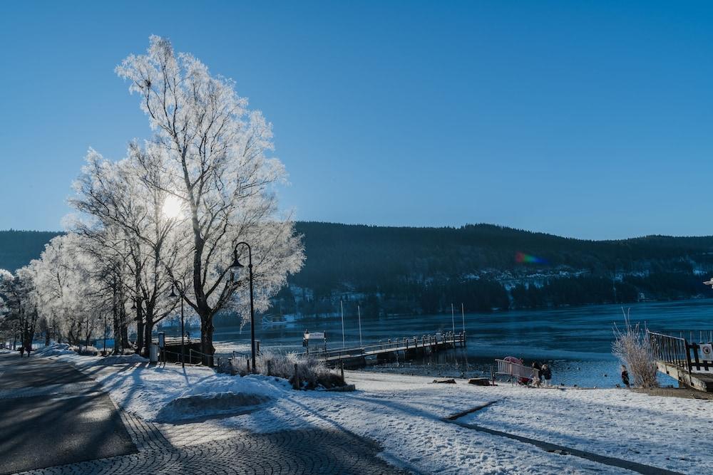 Bären