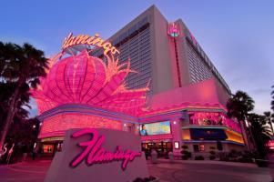 Flamingo Hotel