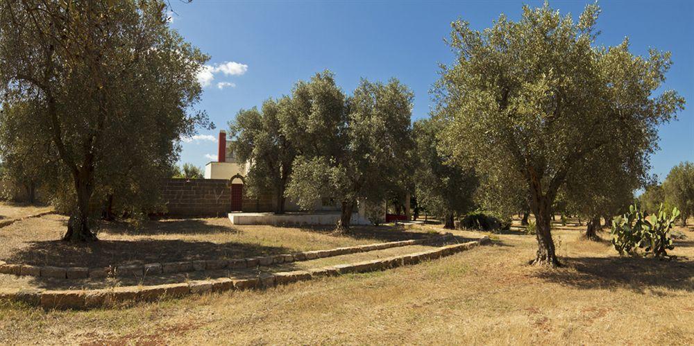 B&B Pietrafitta