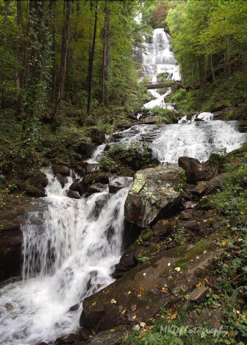 Forrest Hills Mountain Resort