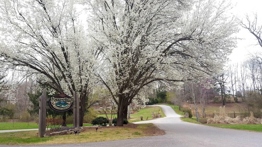 Forrest Hills Mountain Resort