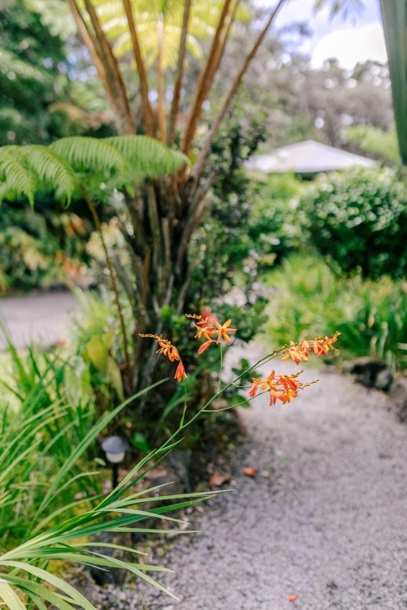 Kilauea Lodge