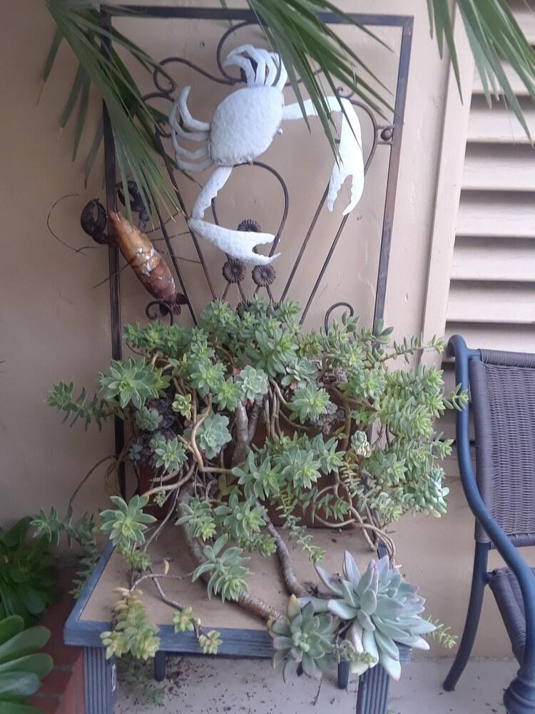 Los Gatos Garden Inn