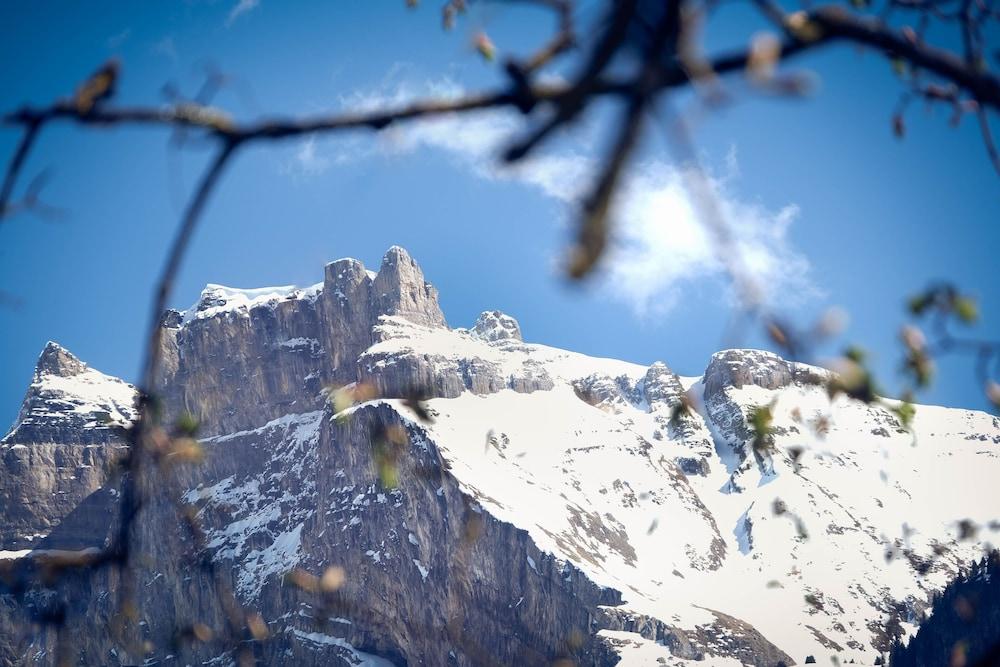 Alpina