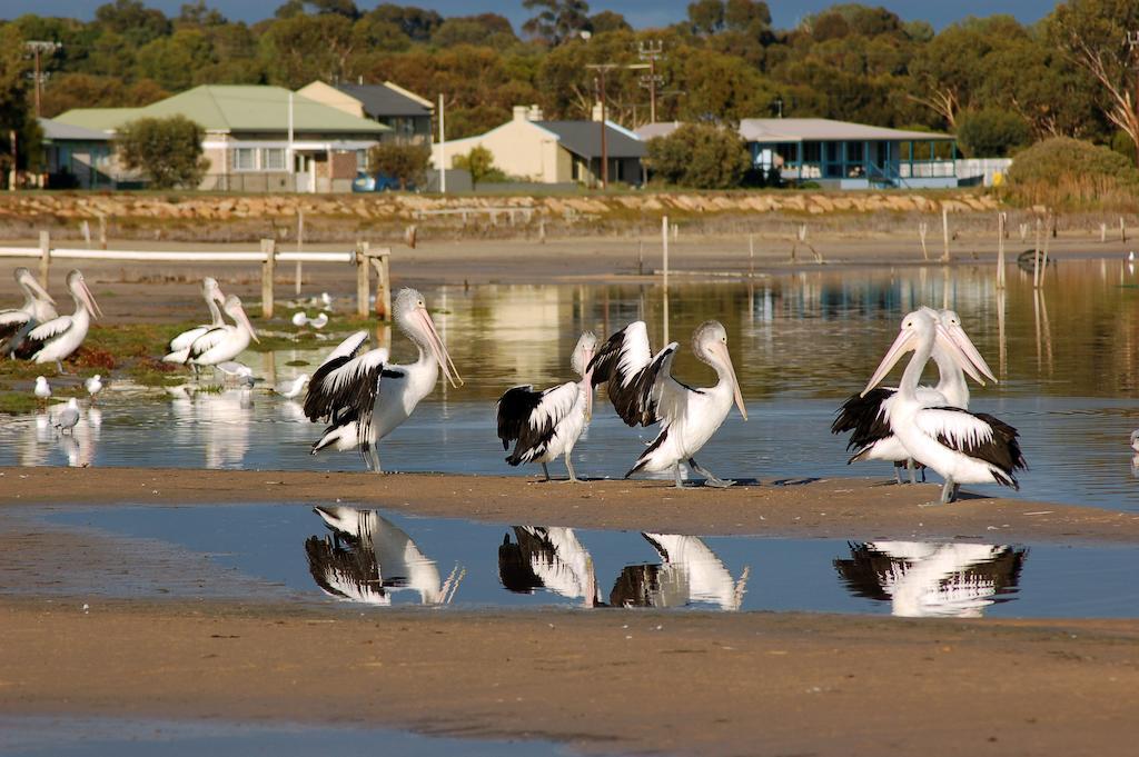 Meningie's Waterfront Motel