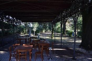 Hotel Il Boschetto
