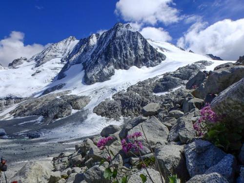 Alpen Color Tonale Hotel
