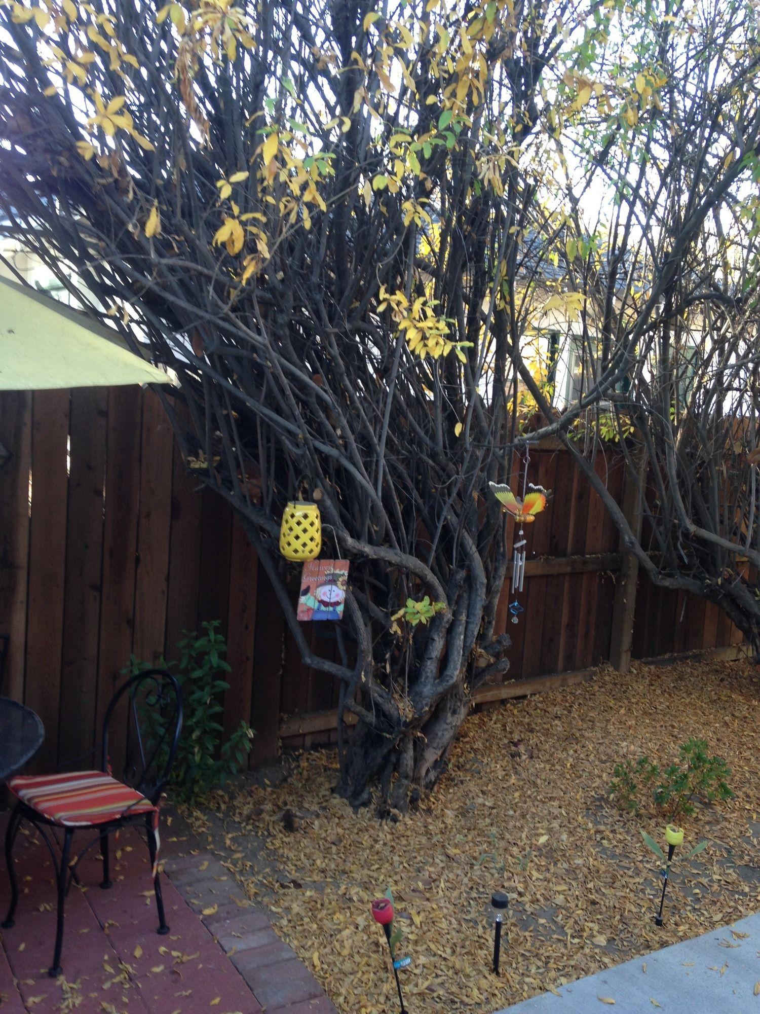 Sunshine La Bnb