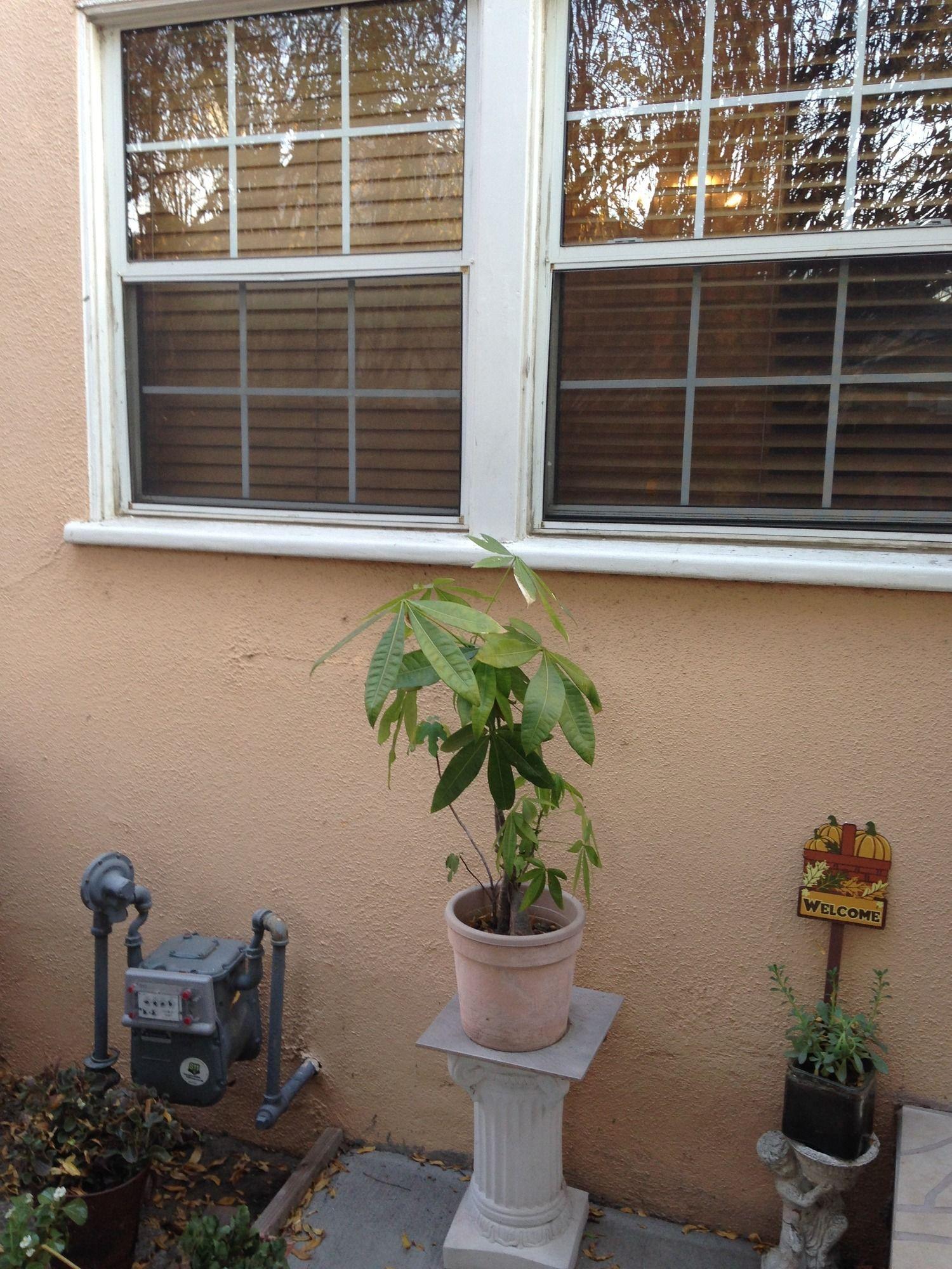Sunshine La Bnb