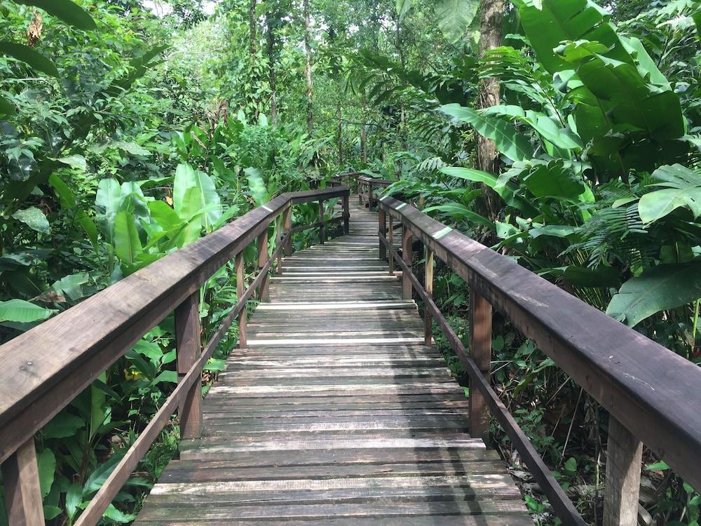 Cinco Ceibas Rainforest Reserve and Adventure Park