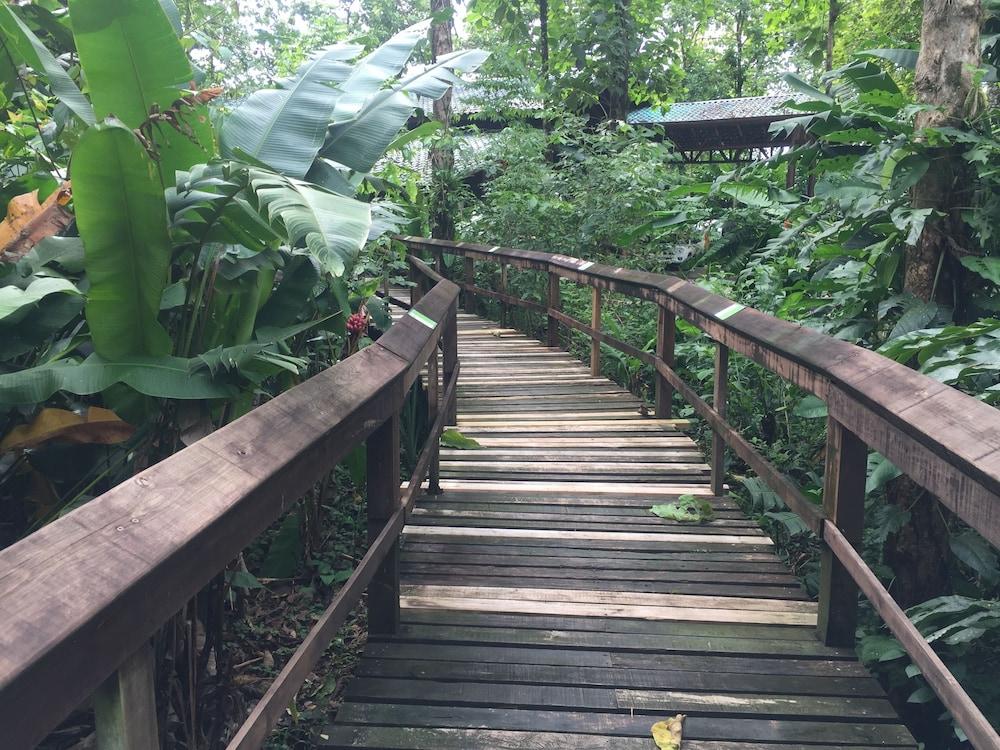 Cinco Ceibas Rainforest Reserve and Adventure Park