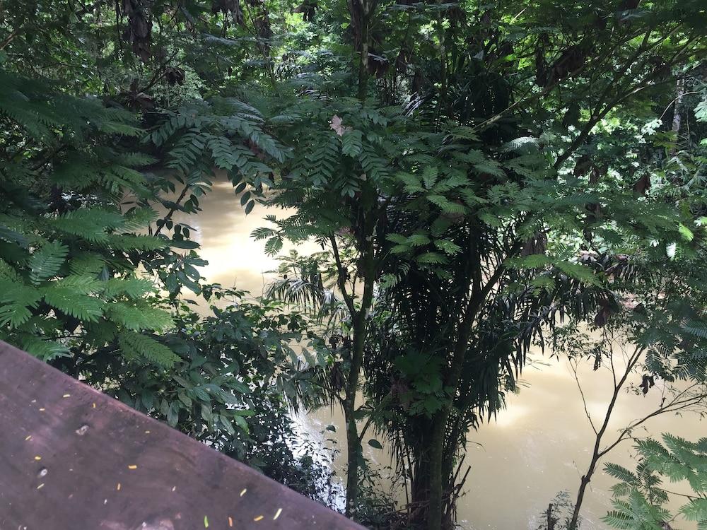 Cinco Ceibas Rainforest Reserve and Adventure Park