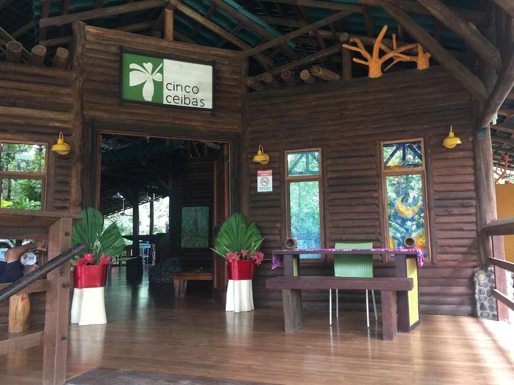 Cinco Ceibas Rainforest Reserve and Adventure Park