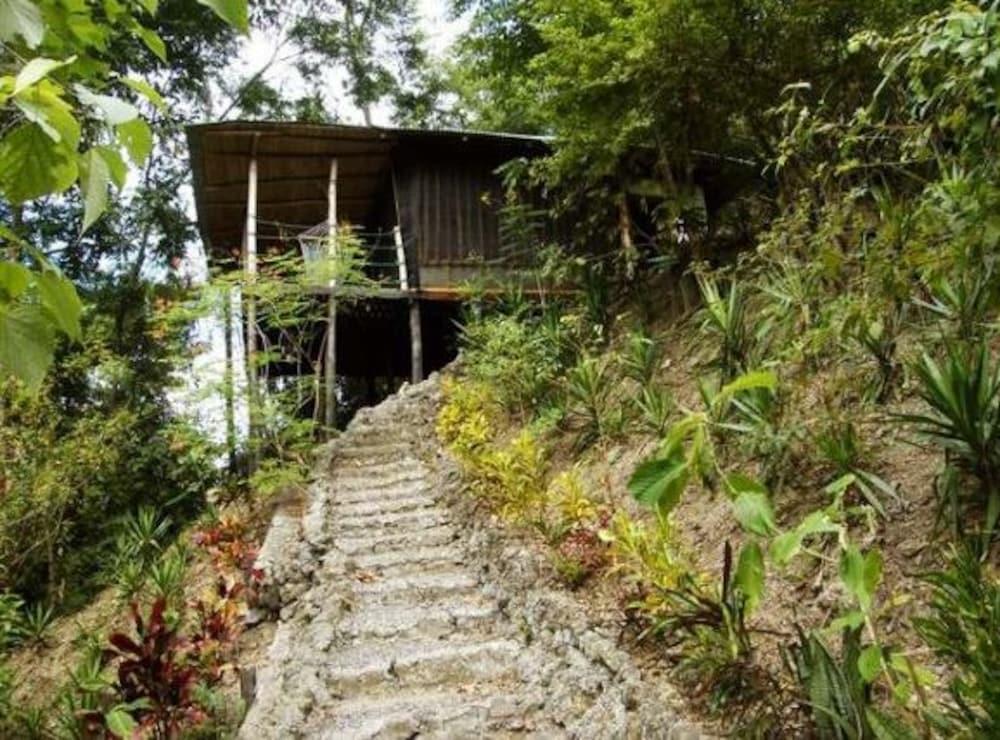 Blue Jay Lodge