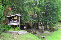 Cedar Village