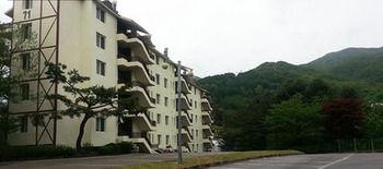 Bears Town Tower Condo