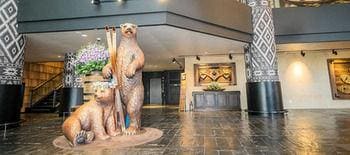 Bears Town Tower Condo