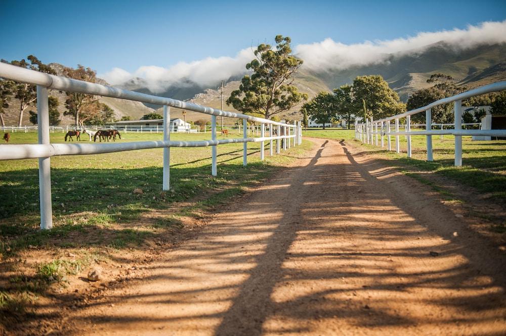 White Water Farm