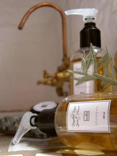 Dennehof Karoo Guesthouse