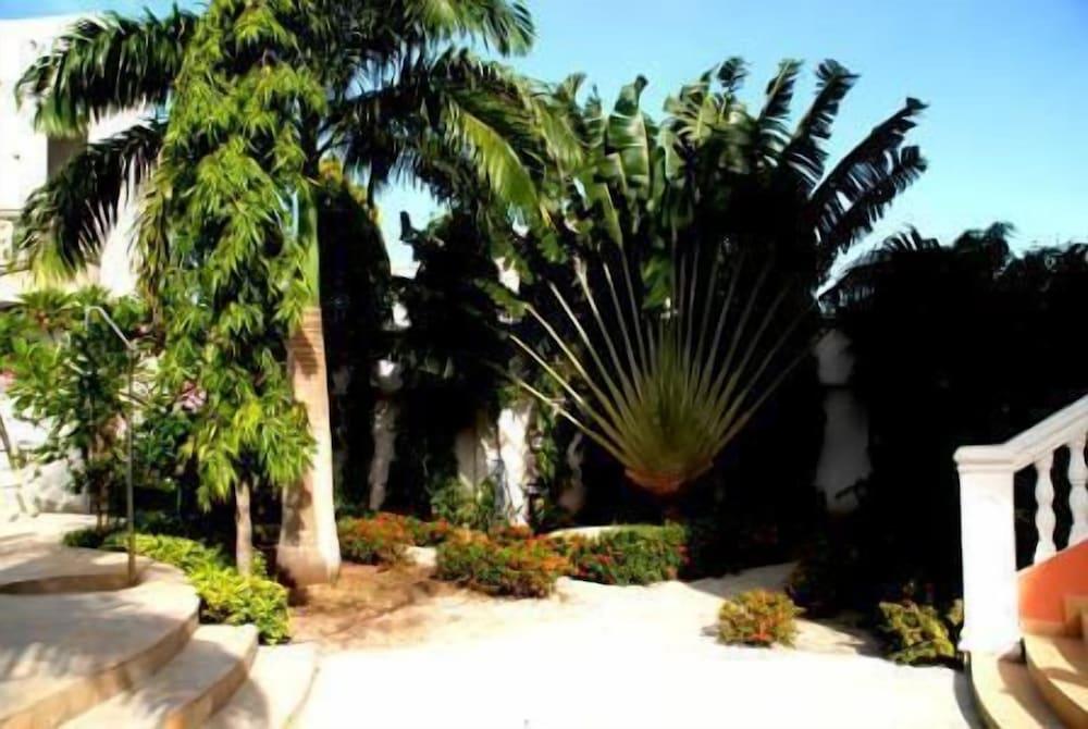 Hotel Casa Cornelia