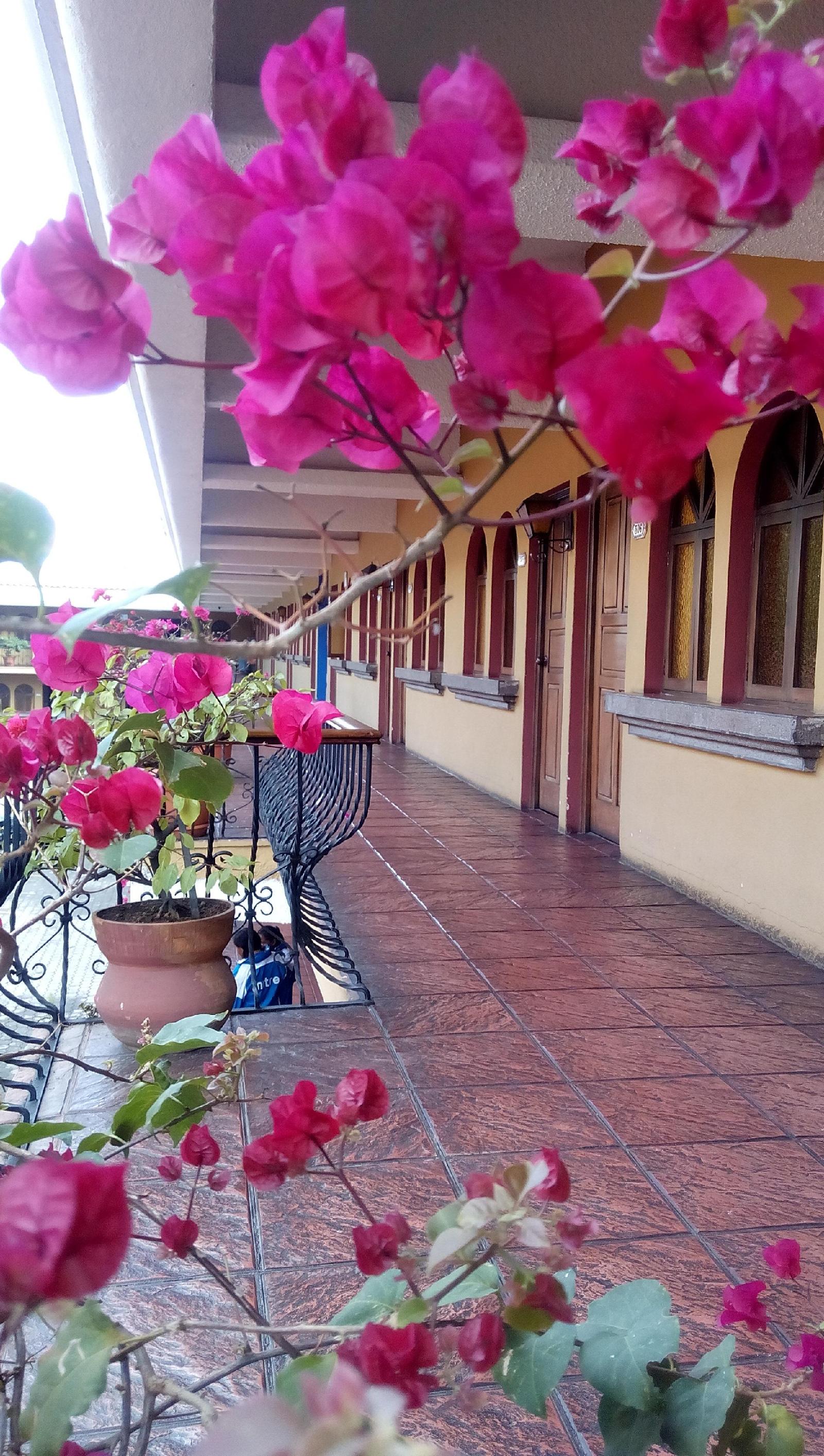 Hotel Villa Española