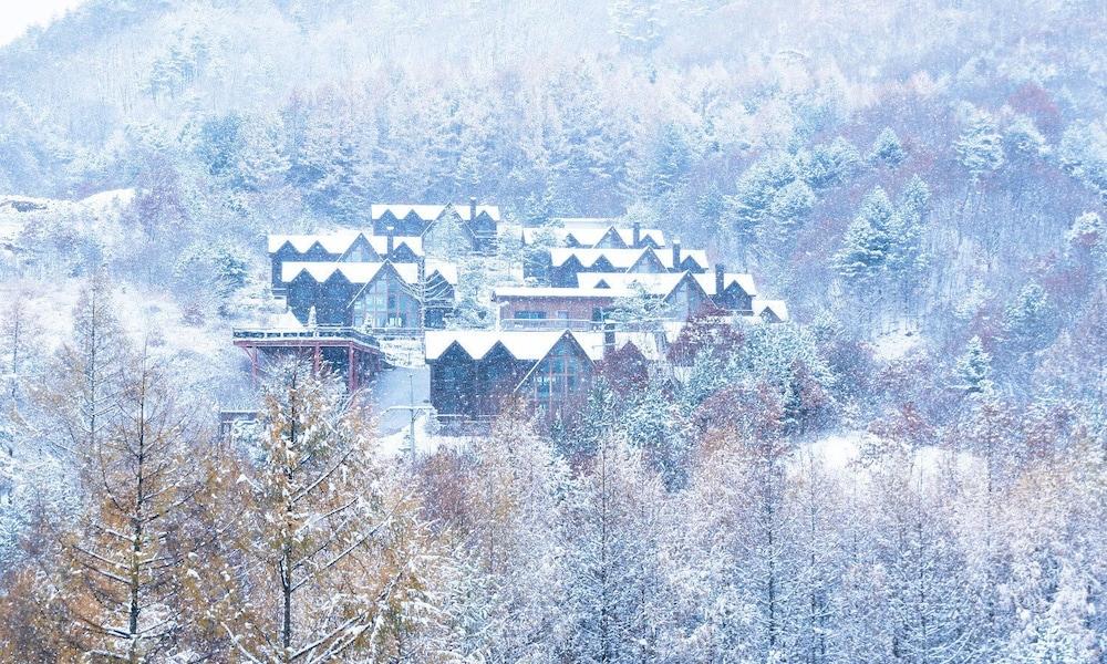 Chalet Resort