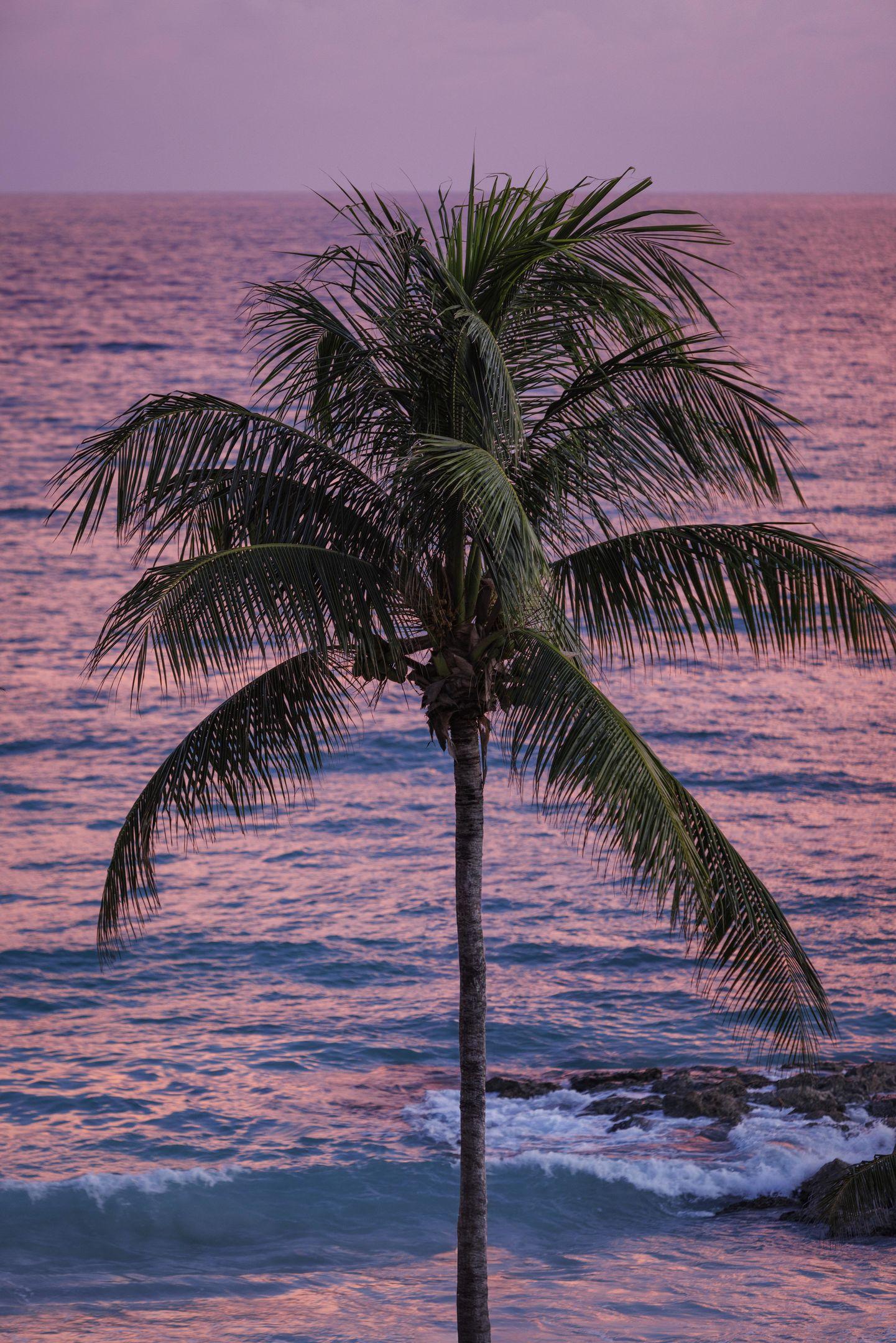 Sandals Montego Bay