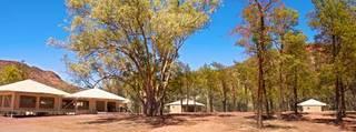 Ikara Safari Camp