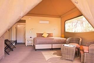 Ikara Safari Camp