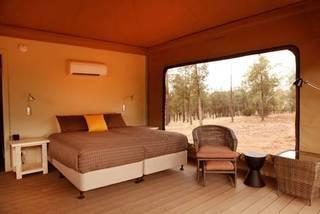 Ikara Safari Camp