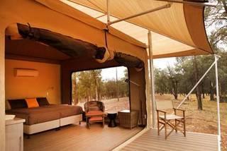 Ikara Safari Camp