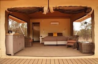 Ikara Safari Camp