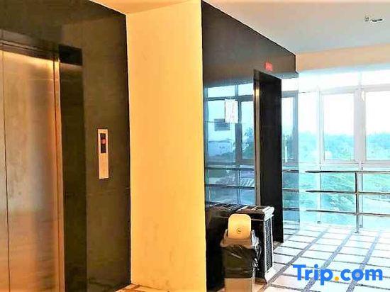De' Viana Hotel and Apartment