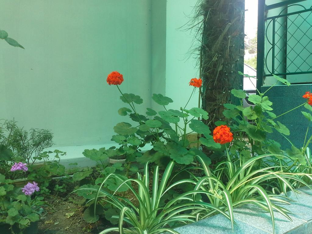 Prostor Guest House
