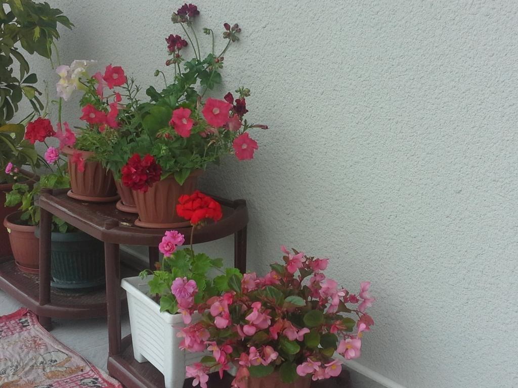 Prostor Guest House