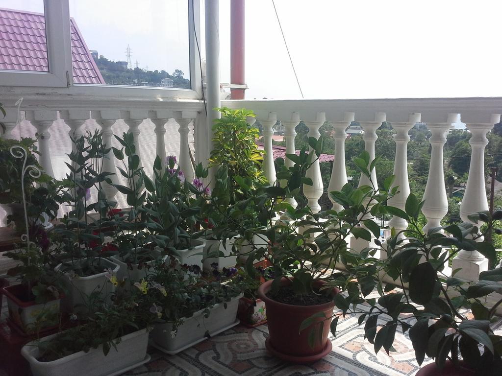 Prostor Guest House