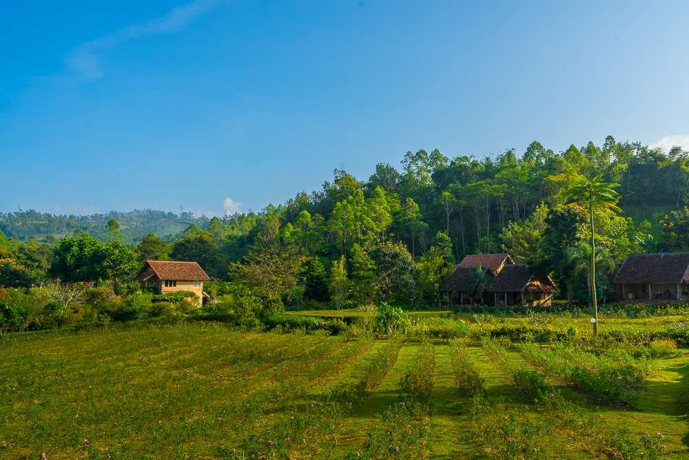 Kebun Mawar Situhapa Hotel