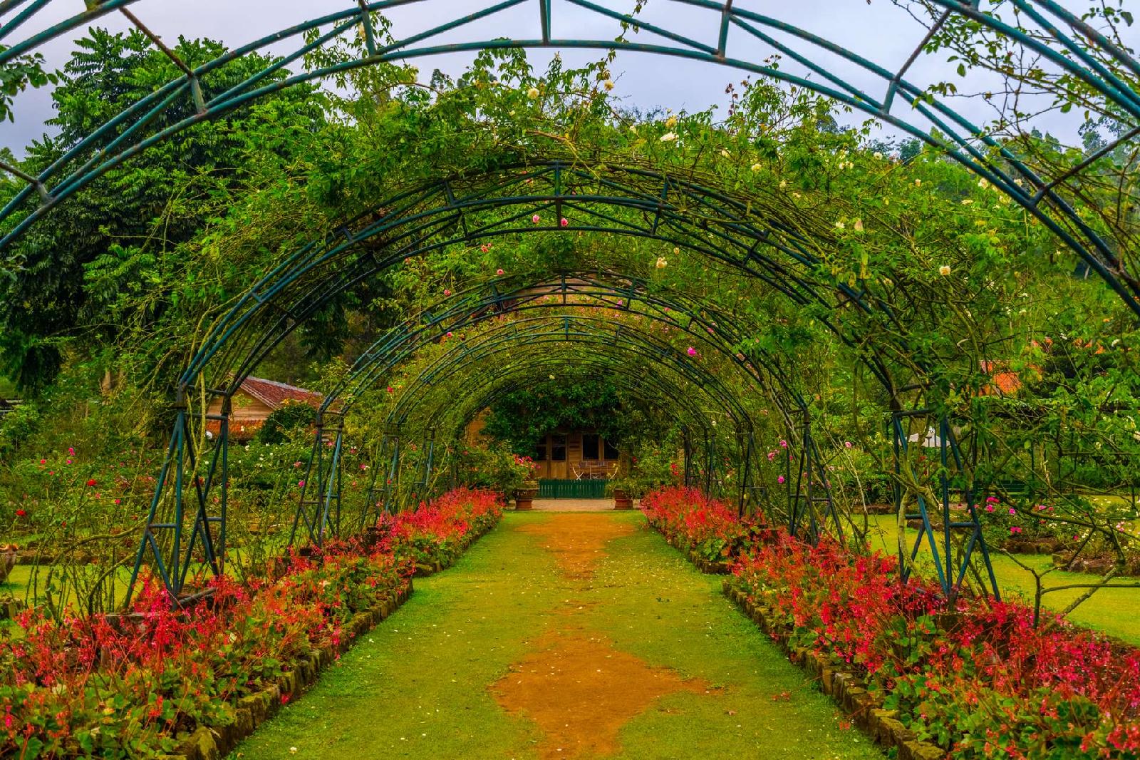 Kebun Mawar Situhapa Hotel